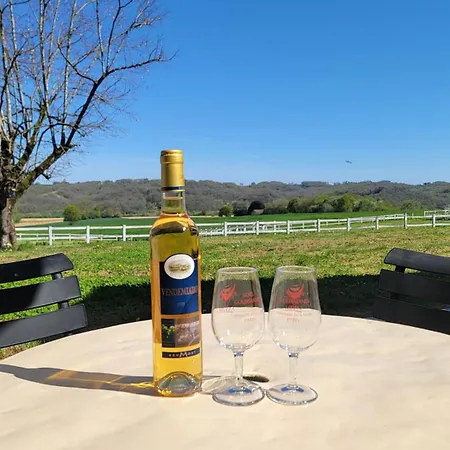 Domaine Rey Hébergement de vacances Loubersan